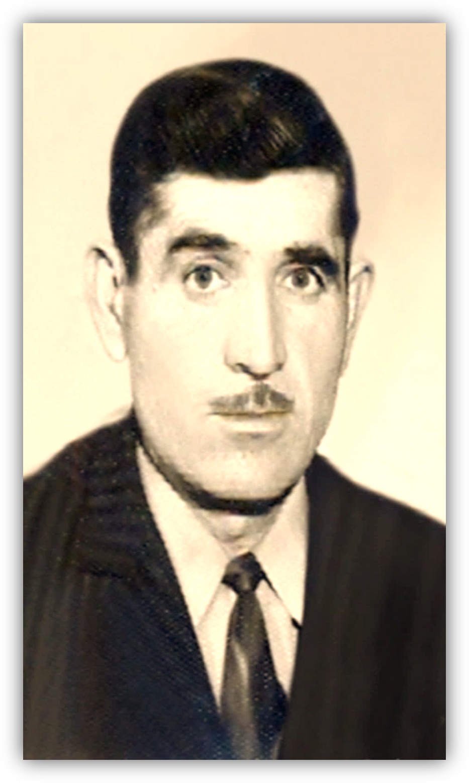 Ali TOPARSLAN 1930-1983