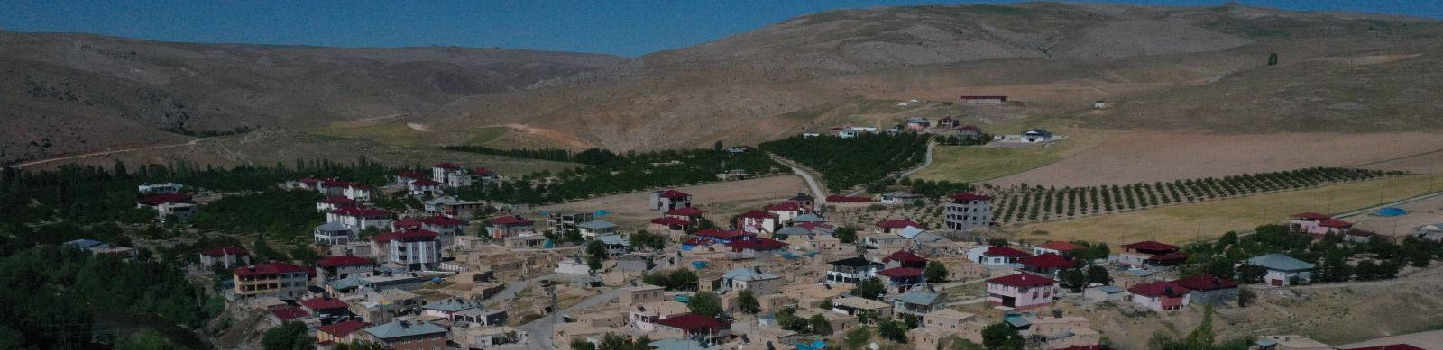 Ali Gültekin Biniş